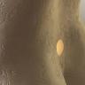 dori-close-up.JPG