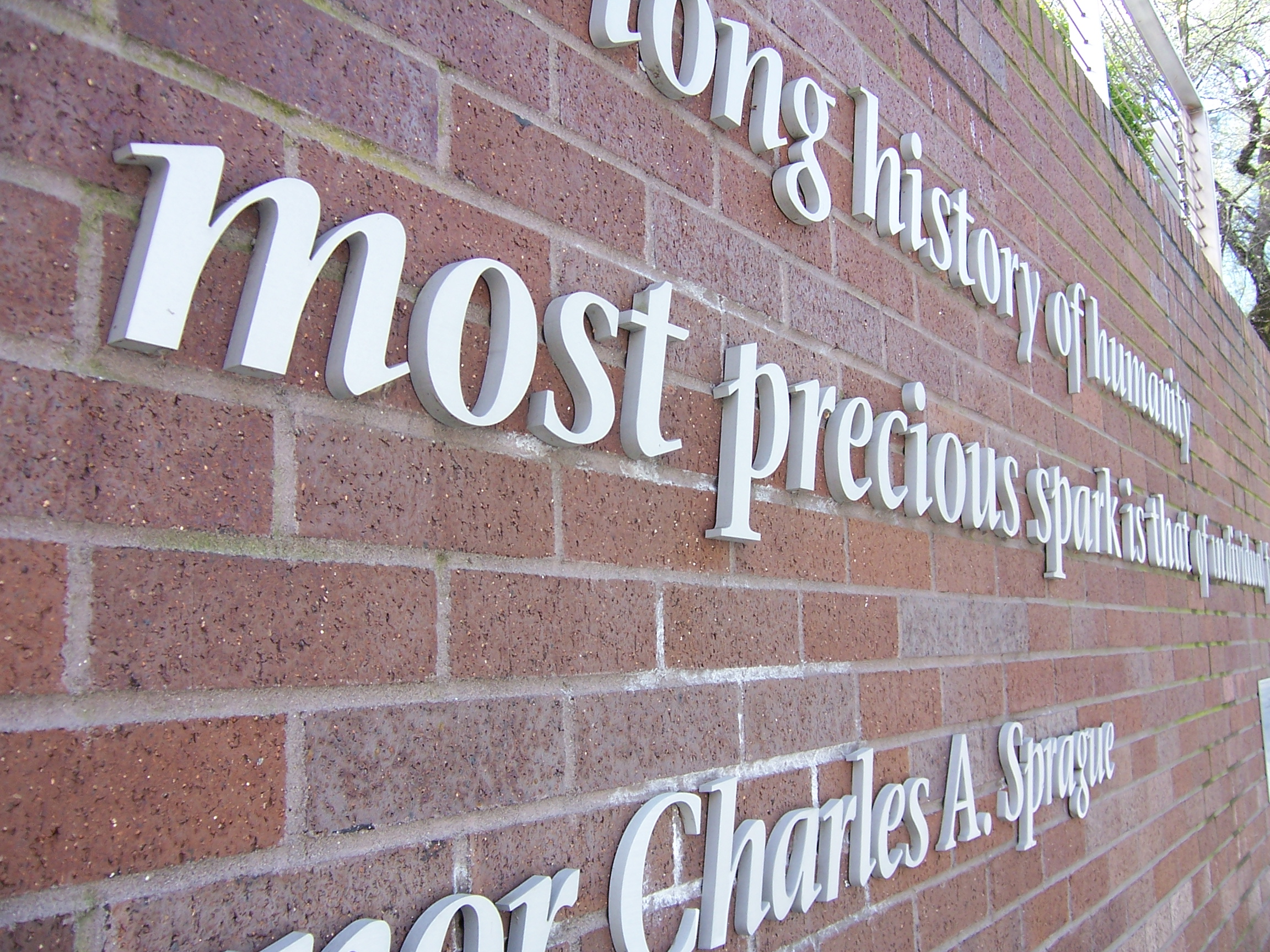 Most Precious Spark...