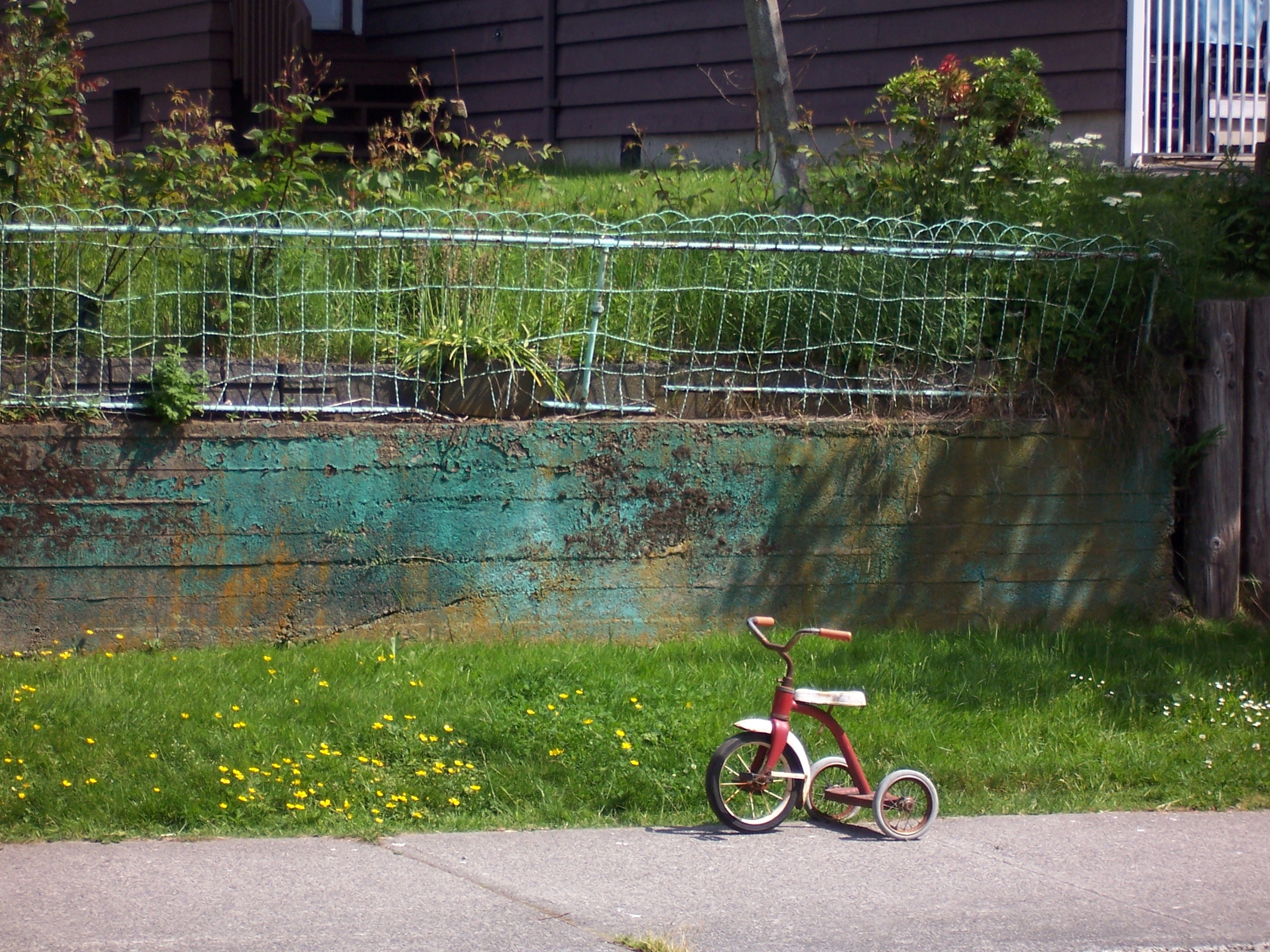 tricycle love