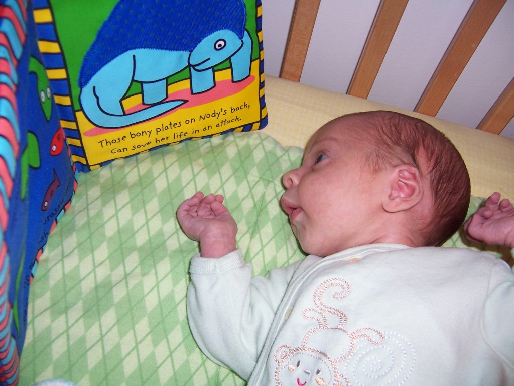 Finn's favourite book